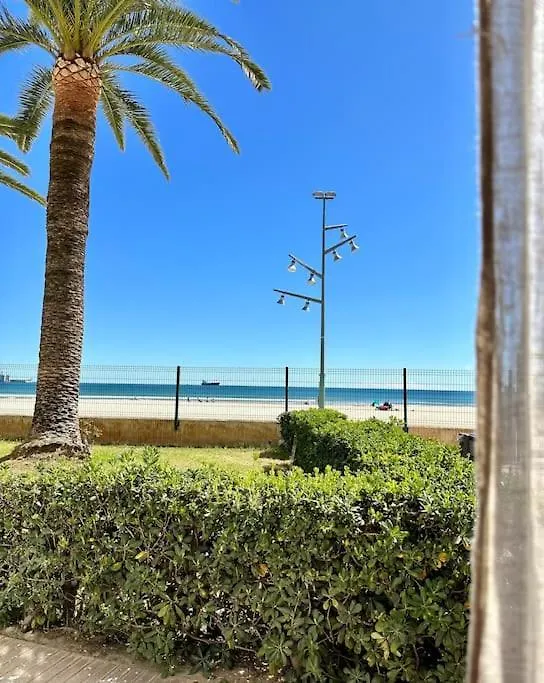 Apartamento Boutique En La Playa ラ・ピネーダ